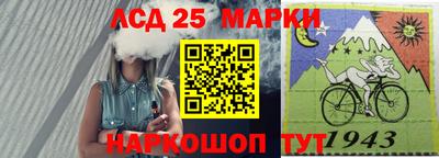 mdma Камышлов