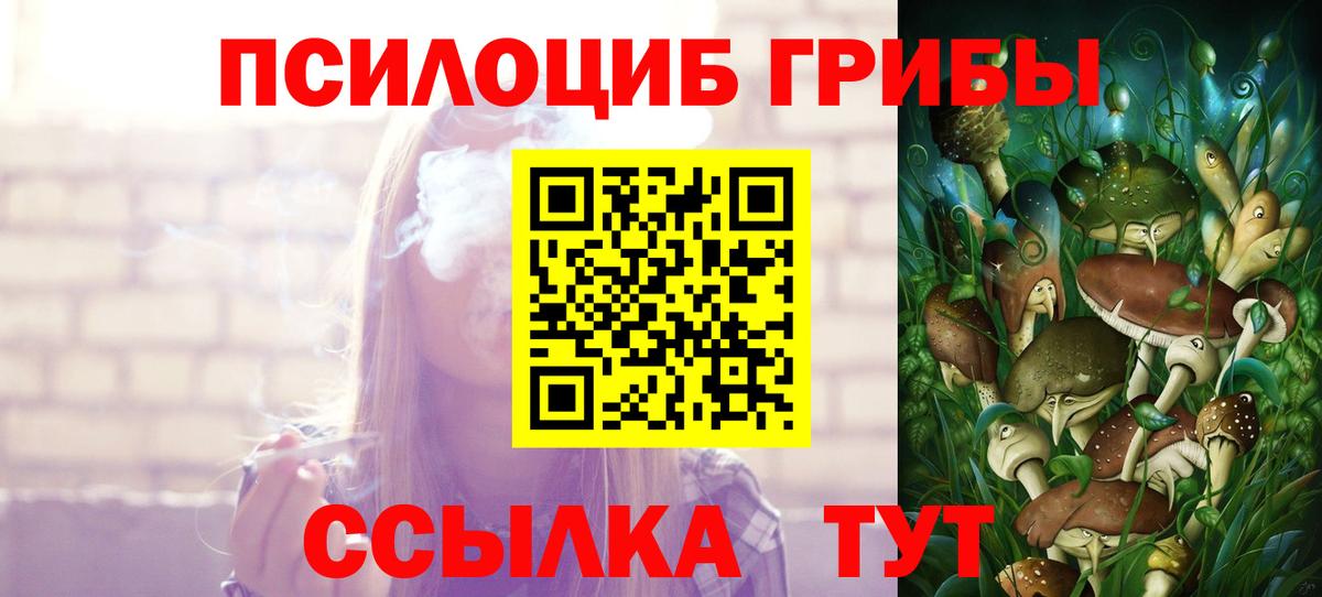 Галлюциногенные грибы Cubensis  Галлюциногенные грибы прущие грибы  Кудымкар  Вход с VPN 