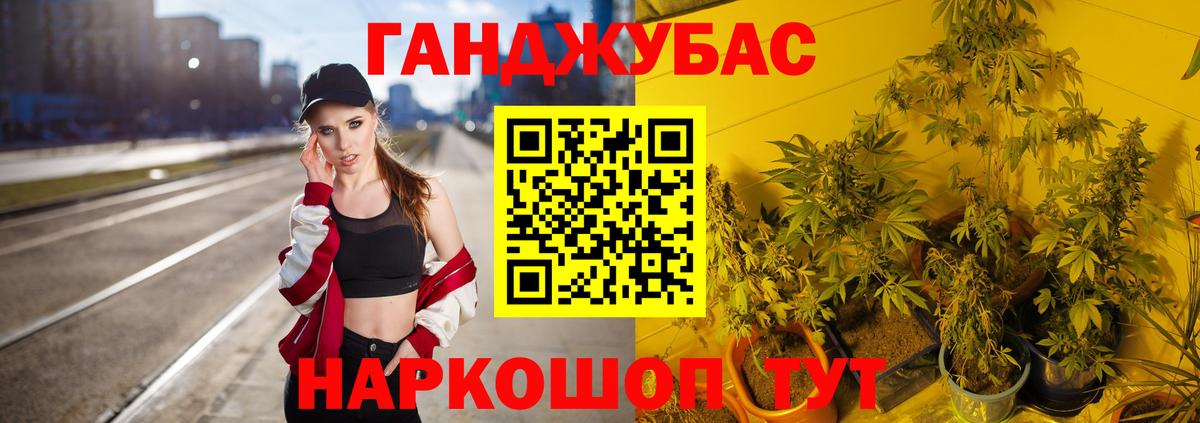 Бошки марихуана Amnesia Кудымкар